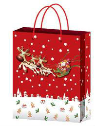 크리스마스를 위한 크리스마스 종이 봉지/공상 크리스마스 종이 선물 부대/종이 봉지